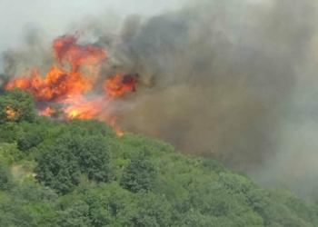Çanakkale'de çıkan orman yangını 26 saatte kontrol altına alındı