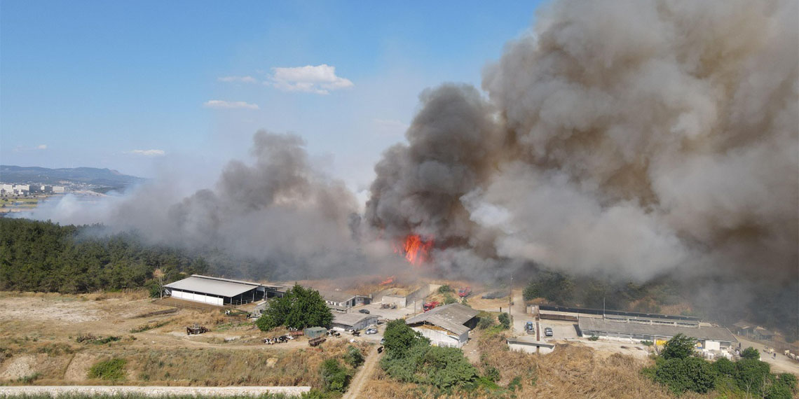 Bursa'nın akciğerleri yandı; yangın 7 bin 500 dönümlük ormanın yüzde 10'unda zarara yol açtı, 30 adet arı kovanı yandı.