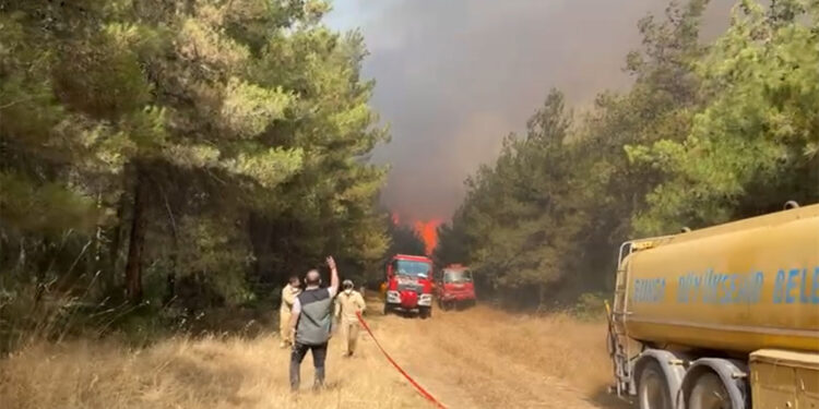 Bursa'da ormanlara girişler yasaklandı