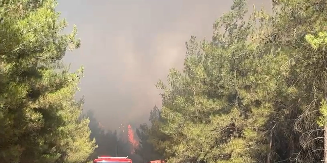 Bursa'da ormanlara girişlerin 3 ay süreyle yasaklandığı duyuruldu. Açıklamada mesire alanlarında mangal yakmak ile orman çevresinden ve içinden geçen yollarda mola vermenin, piknik yapmanın, mangal, semaver ve ateş yakmanın yasaklandığı da belirtildi.