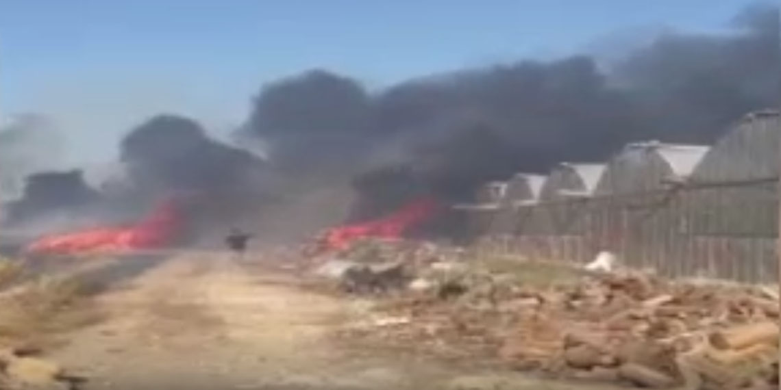 Sera artıklarından başlayan yangın seralara sıçradı