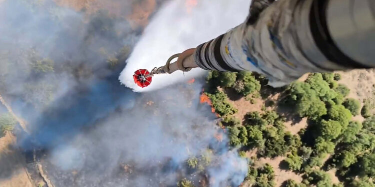 Aydın'da zeytinlik yangını