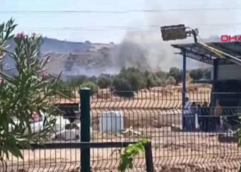 İzmir'in Foça ilçesinde orman yangını çıktı