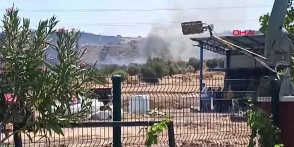 İzmir'in Foça ilçesinde orman yangını çıktı