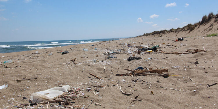 2 kilometrelik kumsal çöple kaplandı