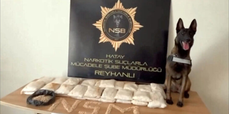 Narkoçelik-35 operasyonlarında 336 şüpheli yakalandı