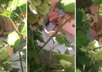 6 yaşındaki çocuğa işkence; babaanne ve baba gözaltında