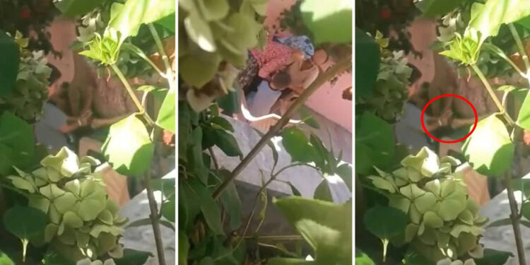 6 yaşındaki çocuğa işkence; babaanne ve baba gözaltında