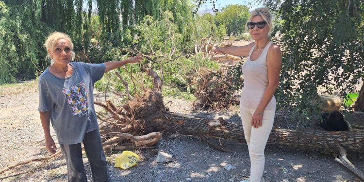 Hayvan barınağının yıkılmasına tepki