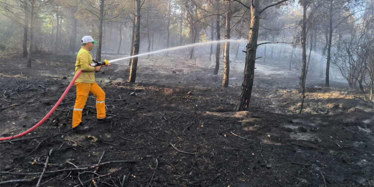 Hatay'daki orman yangını 15 saat sonra kontrol altında
