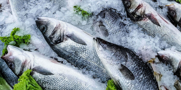 Dünya standartlarında balık üretimi yapıyoruz