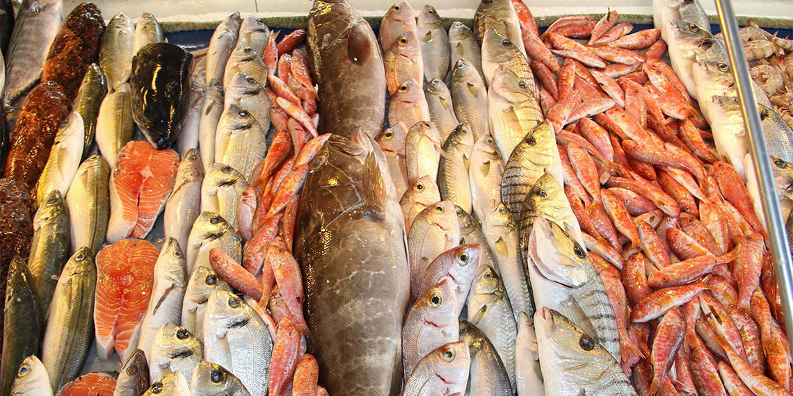 Ege Üniversitesi (EÜ) Su Ürünleri Fakültesi Dekan Yardımcısı ve Yetiştiricilik Bölüm Başkan Vekili Prof. Dr. Halil Şen, "Dünya standartlarında balık üretimi yapıyoruz, dolayısıyla yetiştiricilikle üretilen balıklar güvenle tüketilebilir" dedi.