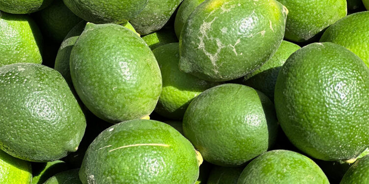 Limon bahçede 10, halde 20-25 lira