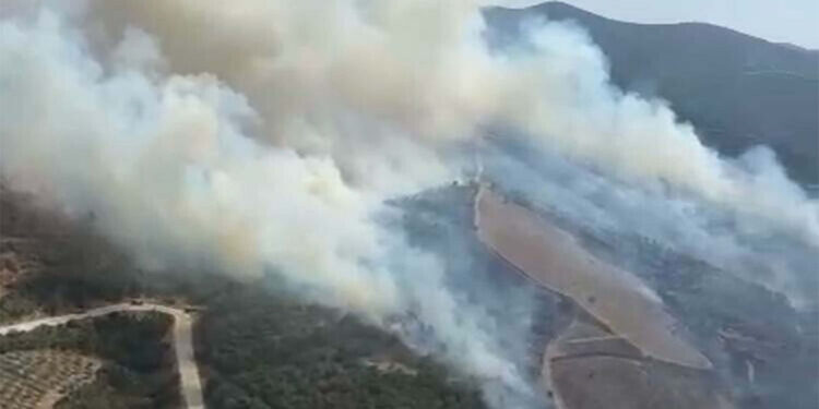 Sivas ve Manisa'da orman yangı