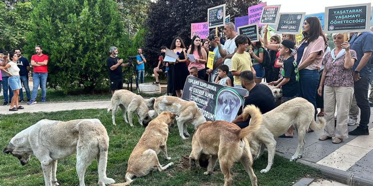 Belediyelerden ötanazi açıklaması