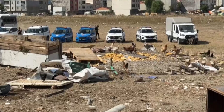 Avcılar'da kaçak ahır ve barakalar ikinci kez yıkıldı