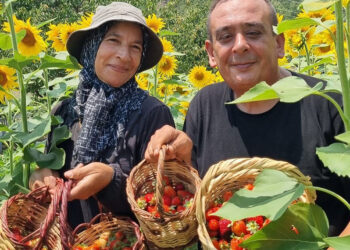 1200 rakımda 18 bin fide yetiştirdi