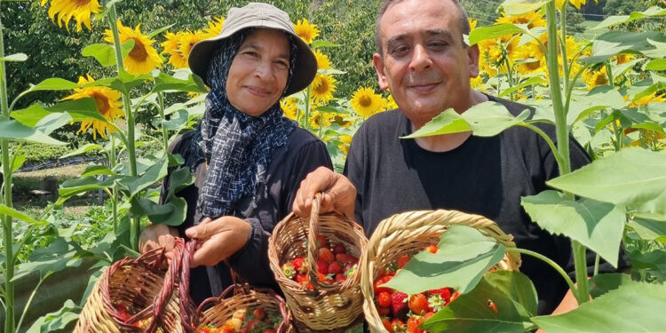 1200 rakımda 18 bin fide yetiştirdi