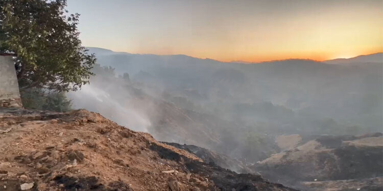 Bingöl'de çıkan orman yangını söndürüldü