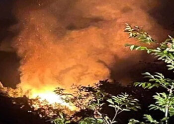15 yıldır yanmayan ormanlar 8 günde 3 kez yandı