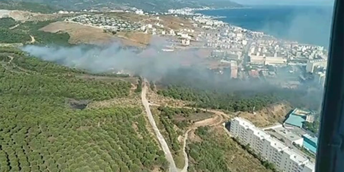 Yalova'nın Armutlu ilçesinde 15 yıldır yanmayan ormanlarda, 8 günde 3 kez art arda yangın çıktı.
