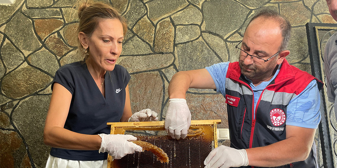 Rize'nin dünyaca ünlü Anzer balını korumak ve üretim kapasitesini belirleyerek, sahte balın önüne geçmek adına Hacettepe Üniversitesi tarafından Anzer köyüne yerleştirilen 10 peteğin sağımı yapıldı.