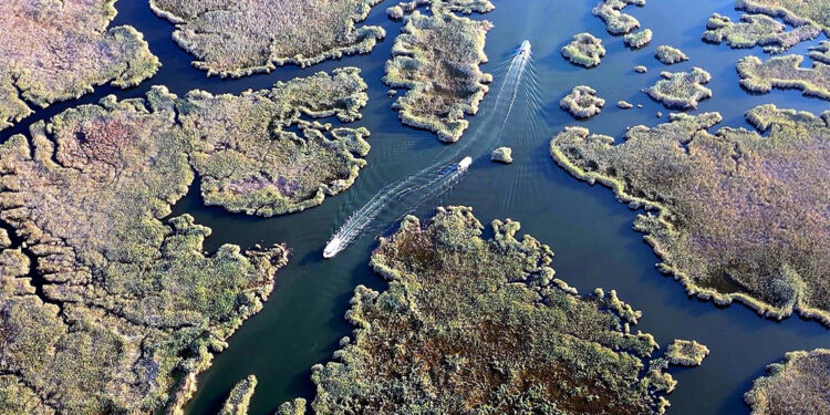 Dalyan Kanalı'nda labirent görünümlü sazlık