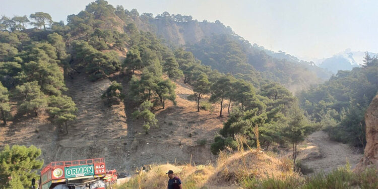 Manisa'da çıkan orman yangını 2'nci gününde