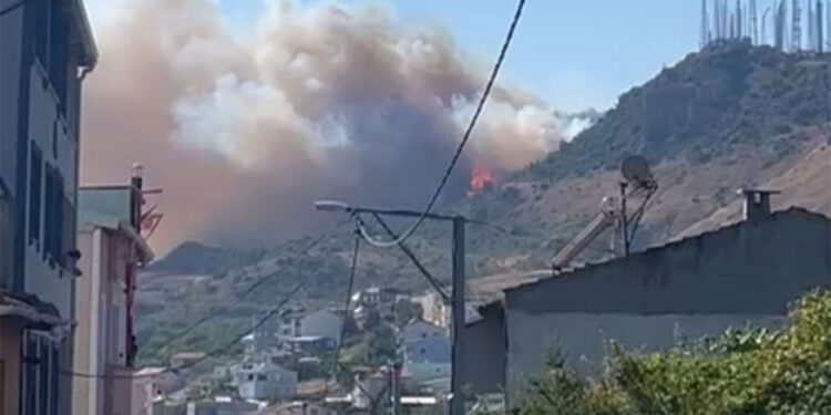 Bursa'nın Osmangazi ilçesinde orman yangını
