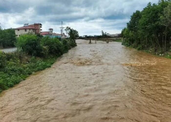 Ordu'da şiddetli yağışta ev ve iş yerlerini su bastı