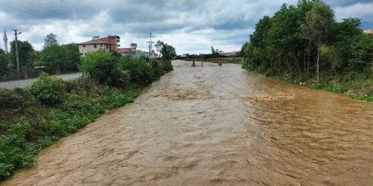 Ordu'da şiddetli yağışta ev ve iş yerlerini su bastı