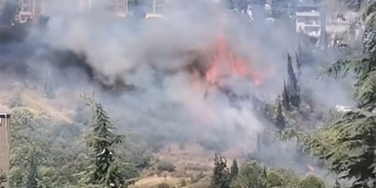 Kocaeli'de ağaçlık ve çalılık bölgede yangın