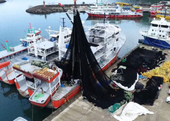 Atık balık ağları, deniz ekosistemini tehdit ediyor