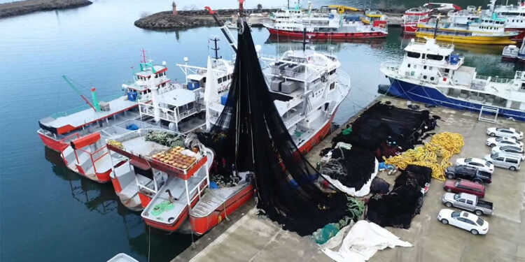 Atık balık ağları, deniz ekosistemini tehdit ediyor