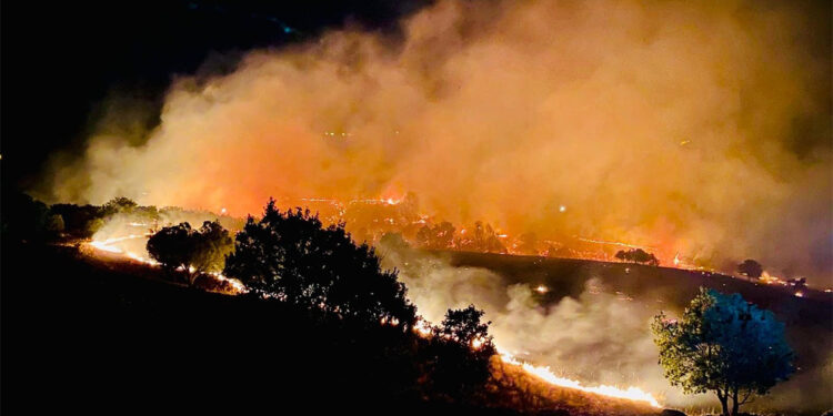 Tunceli'de orman yangınının nedeni elektrik tellerinden çıkan kıvılcımlar