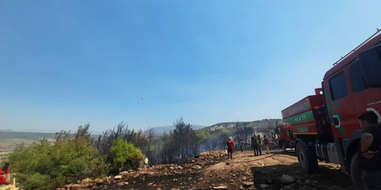 Milas'taki orman yangını kısmen kontrol altına alındı