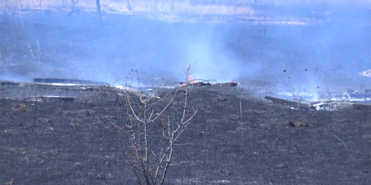TEİAŞ'ın bahçesindeki otluk alanda yangın