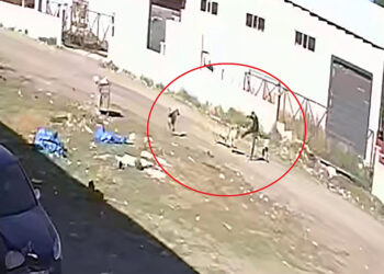 Köpeklerin saldırısından karate hareketleri yaparak kurtuldu