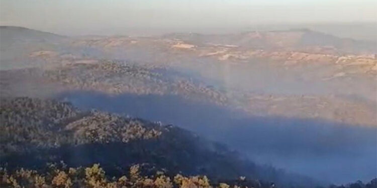 Salihli'de devam eden orman yangınına müdahale sürüyor