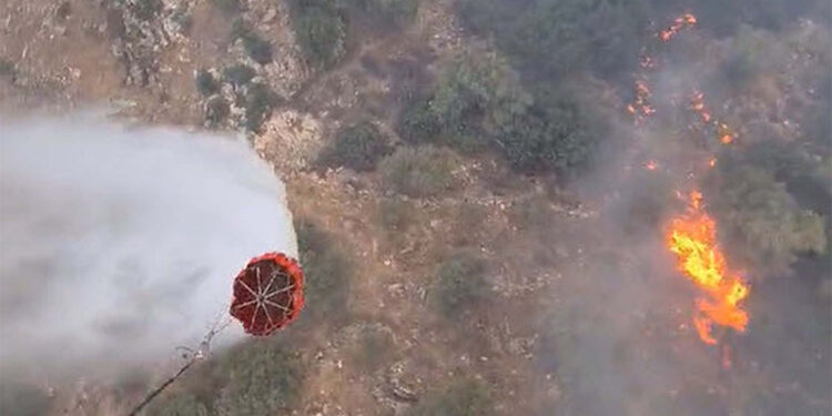 Aydın 3 gündür yanıyor