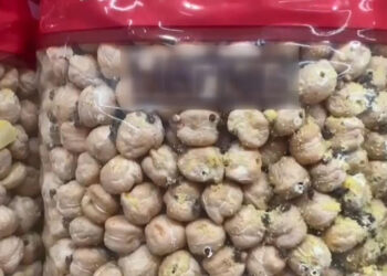 Nohut paketinden böcek çıktı