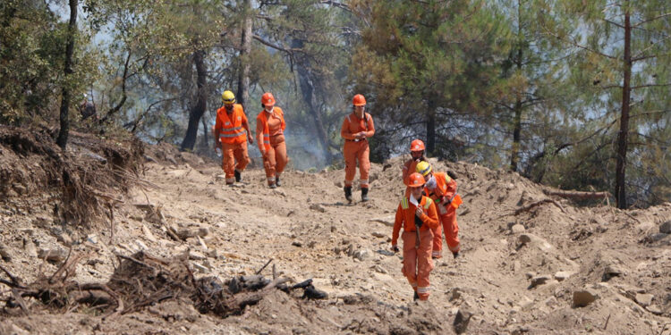 Göynük'te çıkan orman yangını kontrol altına alındı