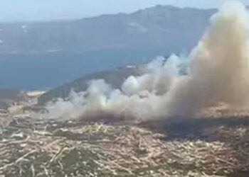 Aydın'daki maki yangınını çıkaran 3 şüpheli tutuklandı