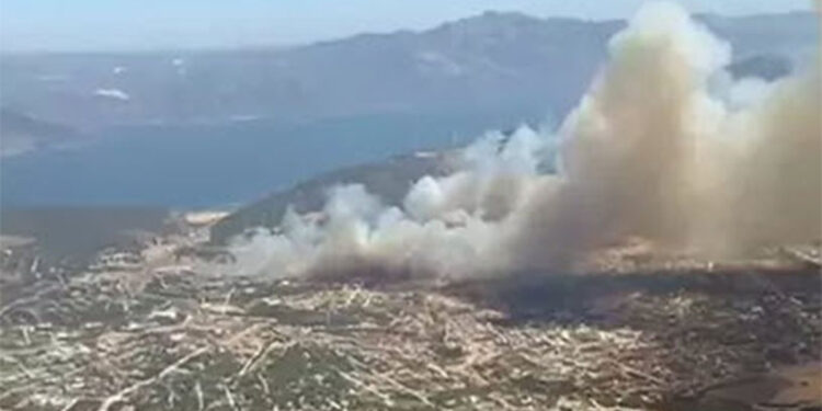 Aydın'daki maki yangınını çıkaran 3 şüpheli tutuklandı