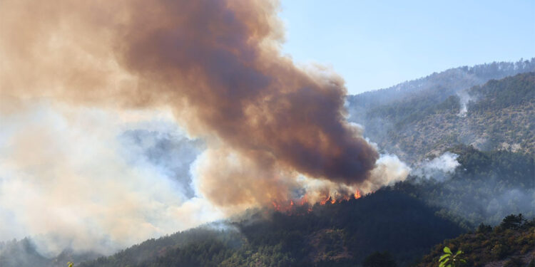 Orman yangınlarına sebebiyet veren 3 şüpheli yakalandı
