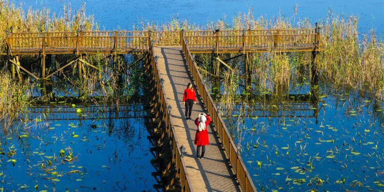 Efteni Gölü ziyaretçileri hayran bırakıyor