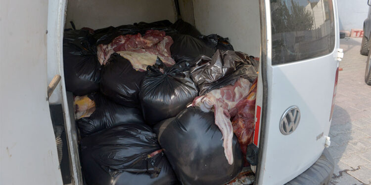 1,5 ton tek tırnaklı hayvan eti ele geçirildi