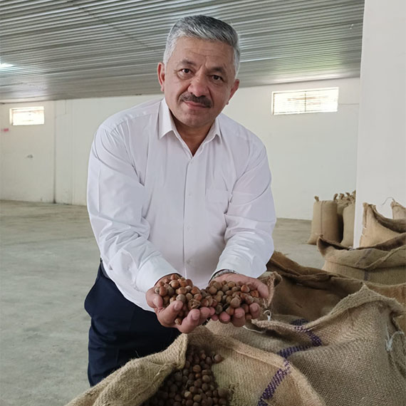 TMO Ordu'da fındık alımlarına başladı. İlk satışta 52 randıman gelen fındığın kilogram başına alımı 132,60 liradan yapıldı.