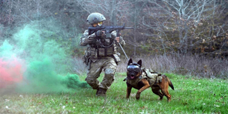 TSK'nın eğitimli köpekleri için tasarlanan sistem test edildi