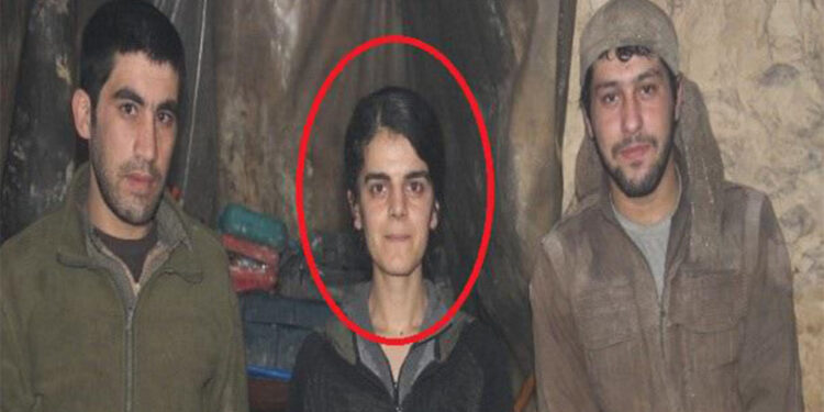 'Sema Cuya Çevlik' kod adlı terörist öldürüldü